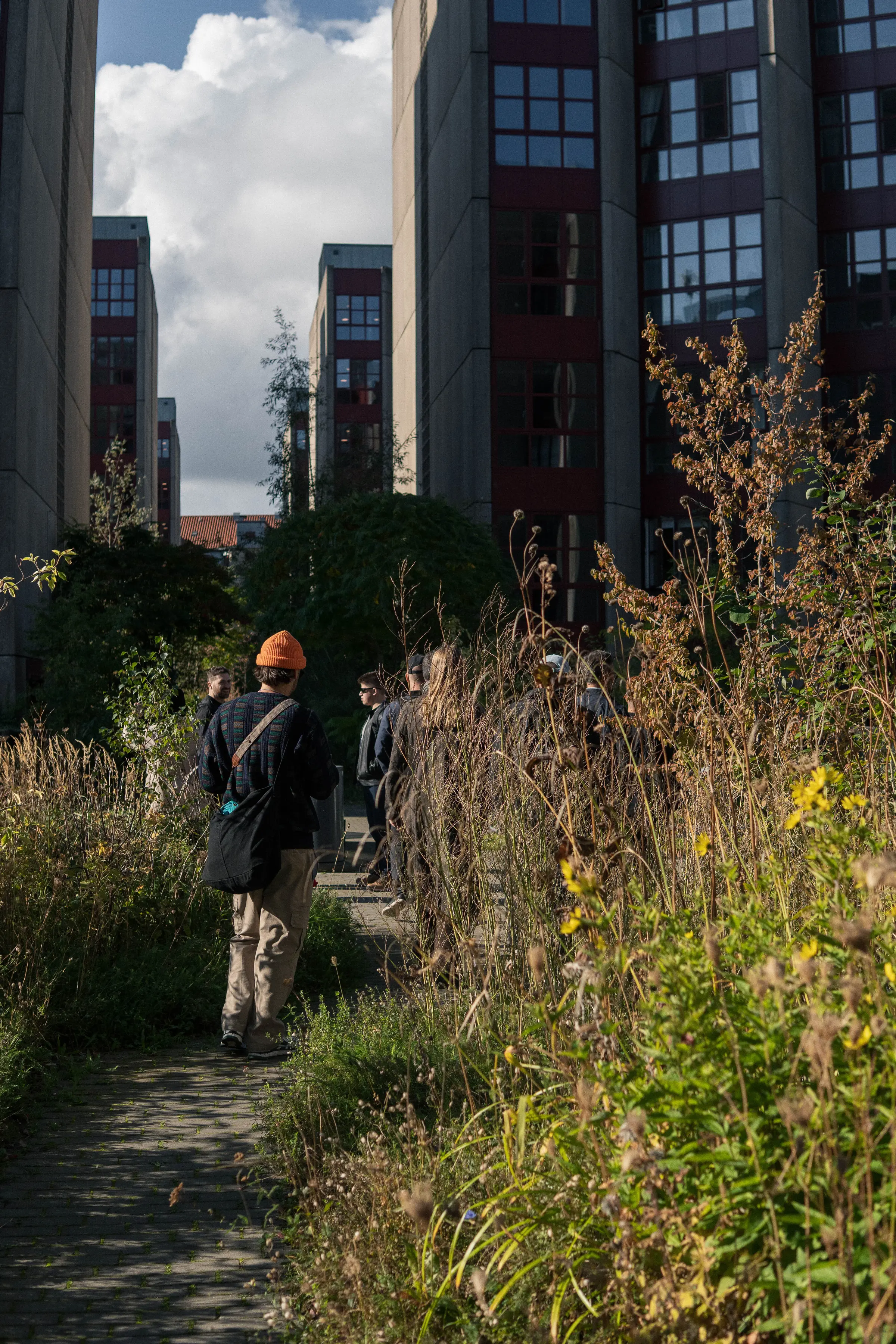Gens qui se baladent à travers Social Spine