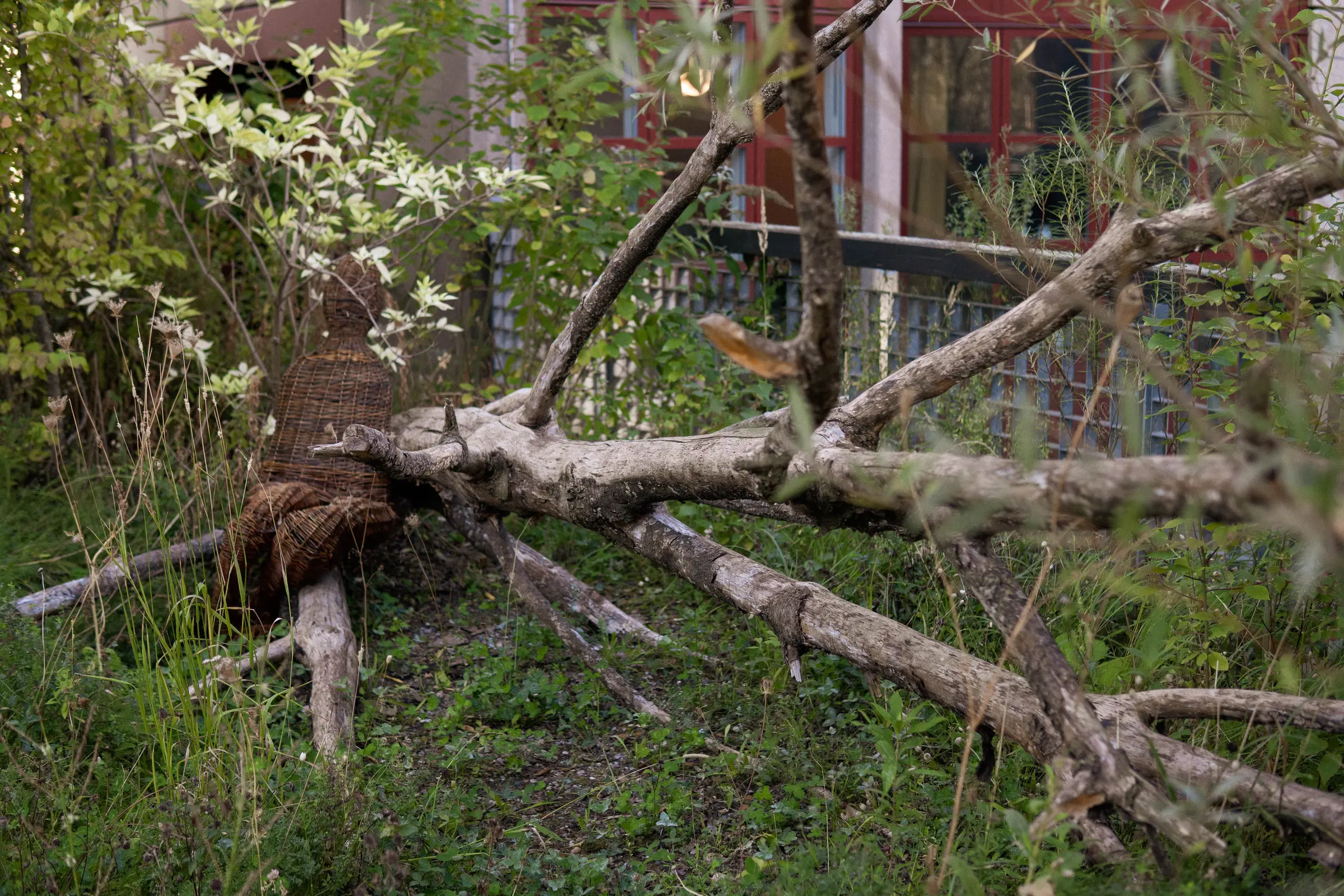 Installation artistique avec arbre mort