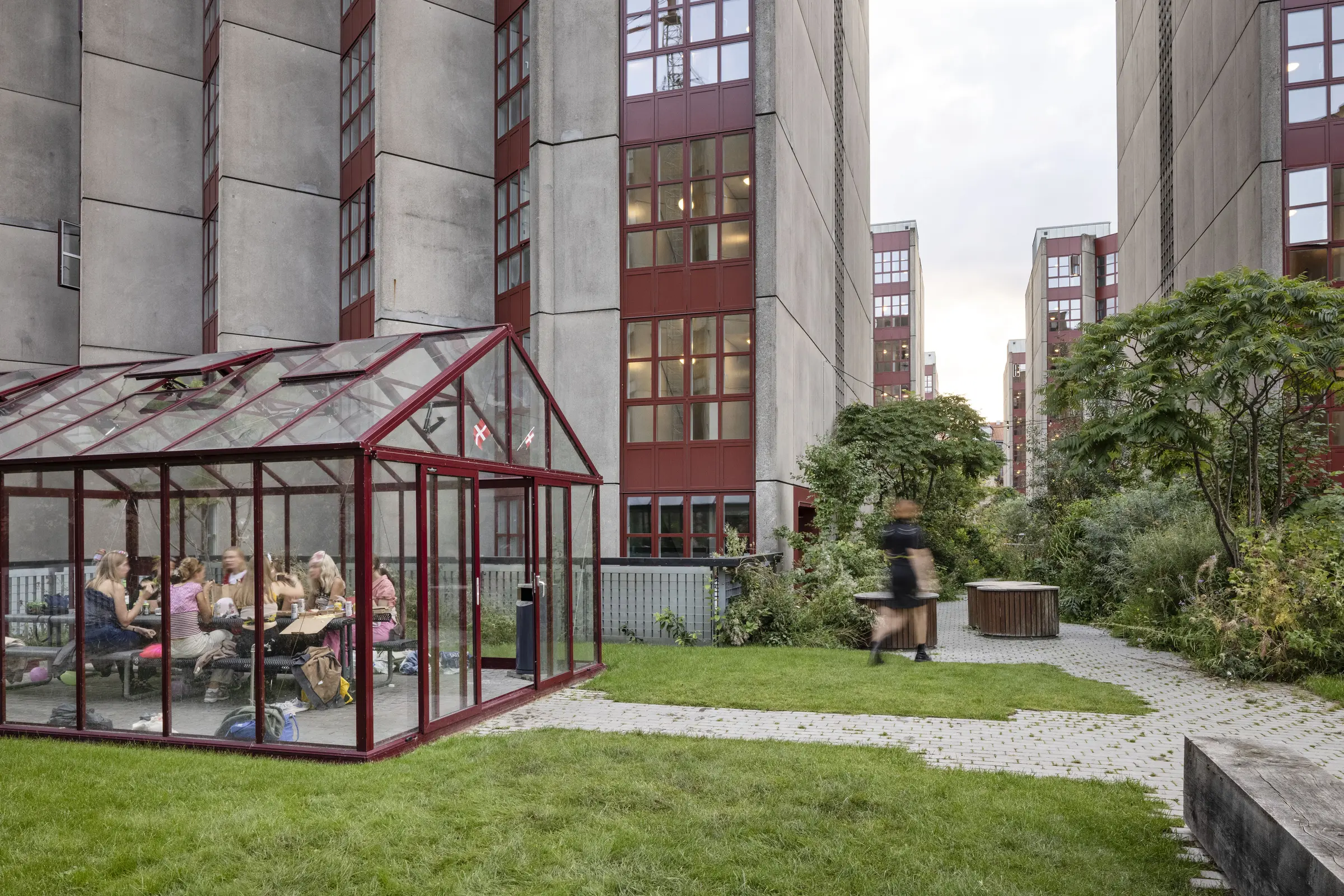 Serre pour les étudiants du projet Social Spine