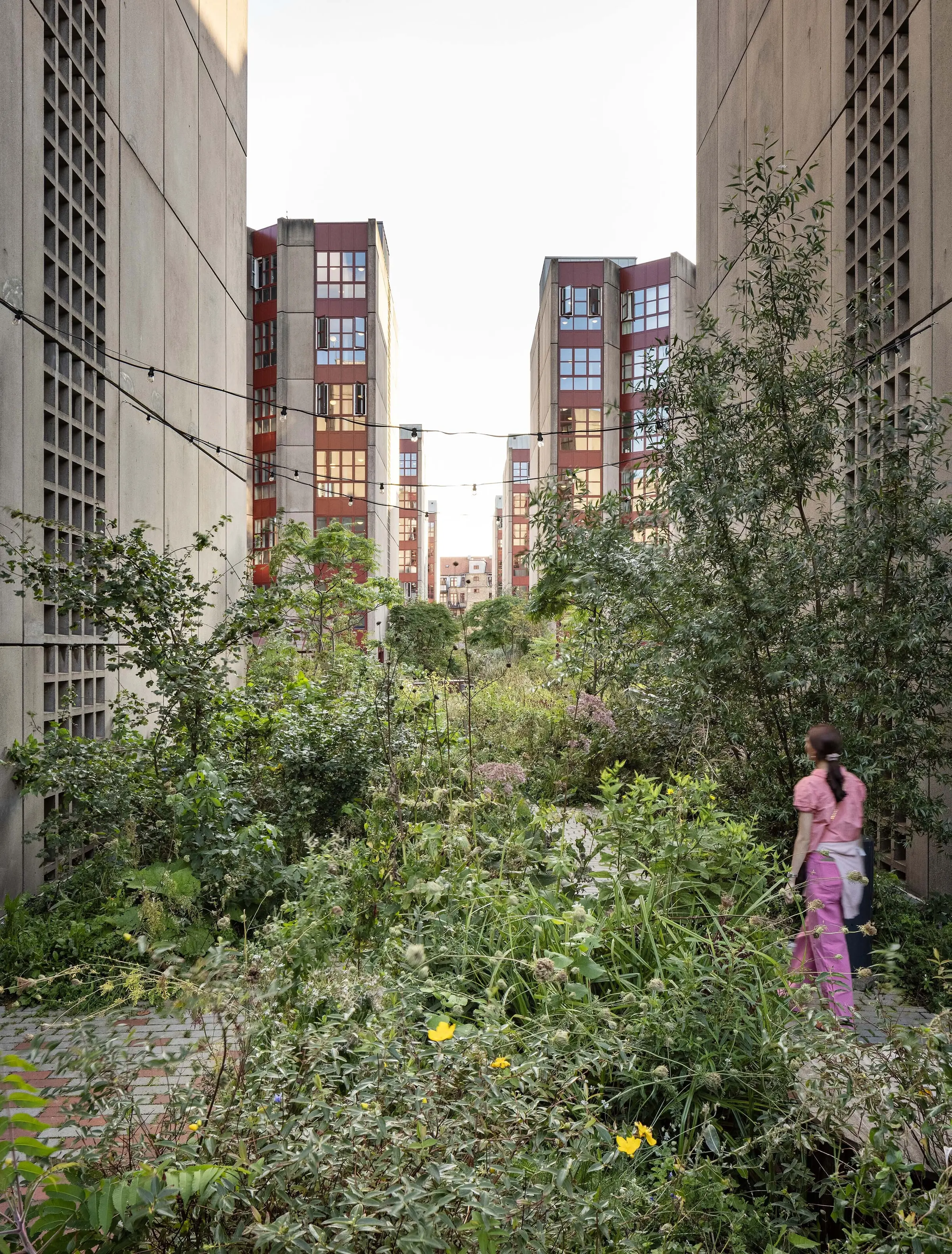 Social Spine et sa végétation sauvage