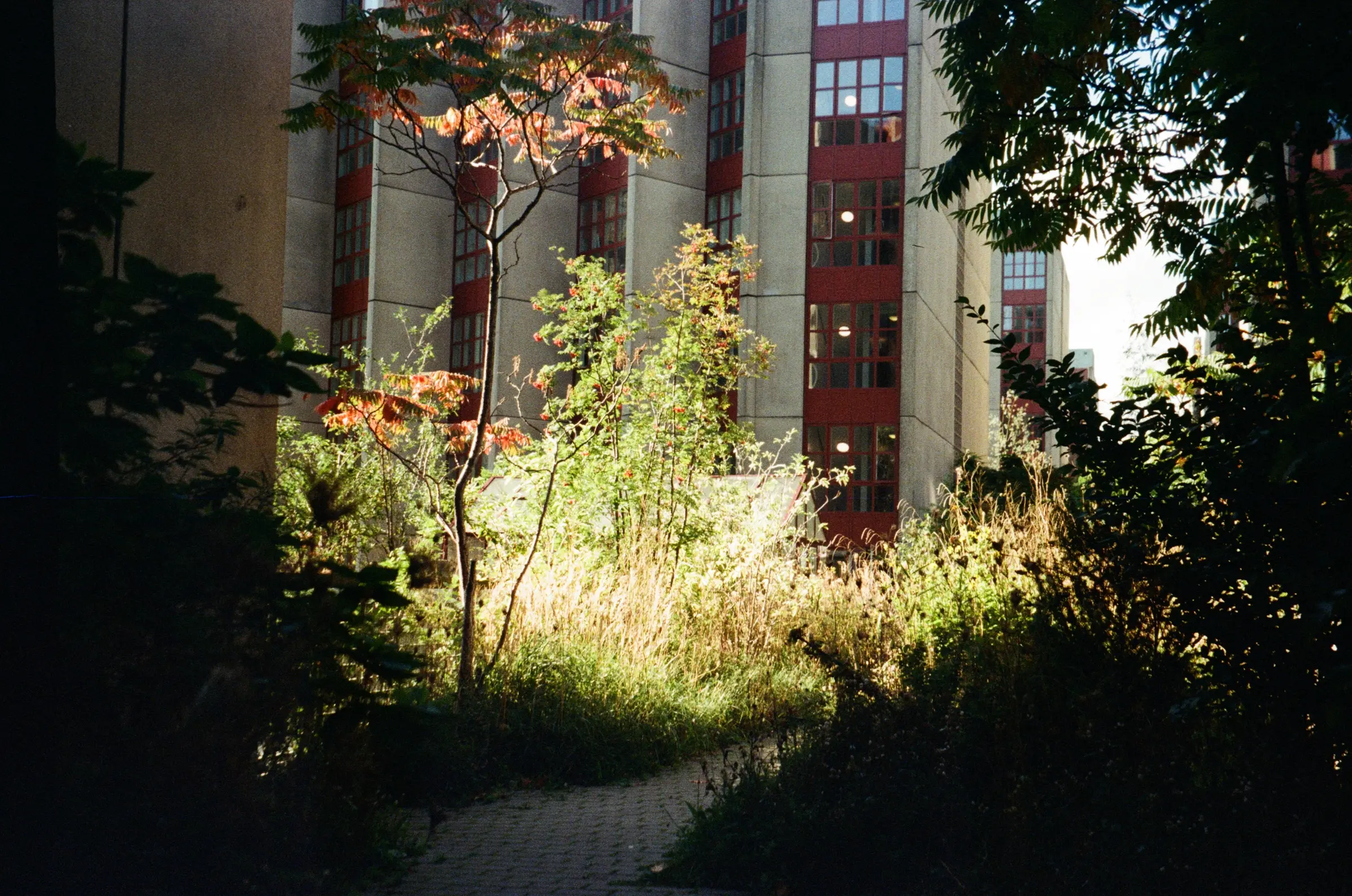 Copenhague 2 Axle VGC