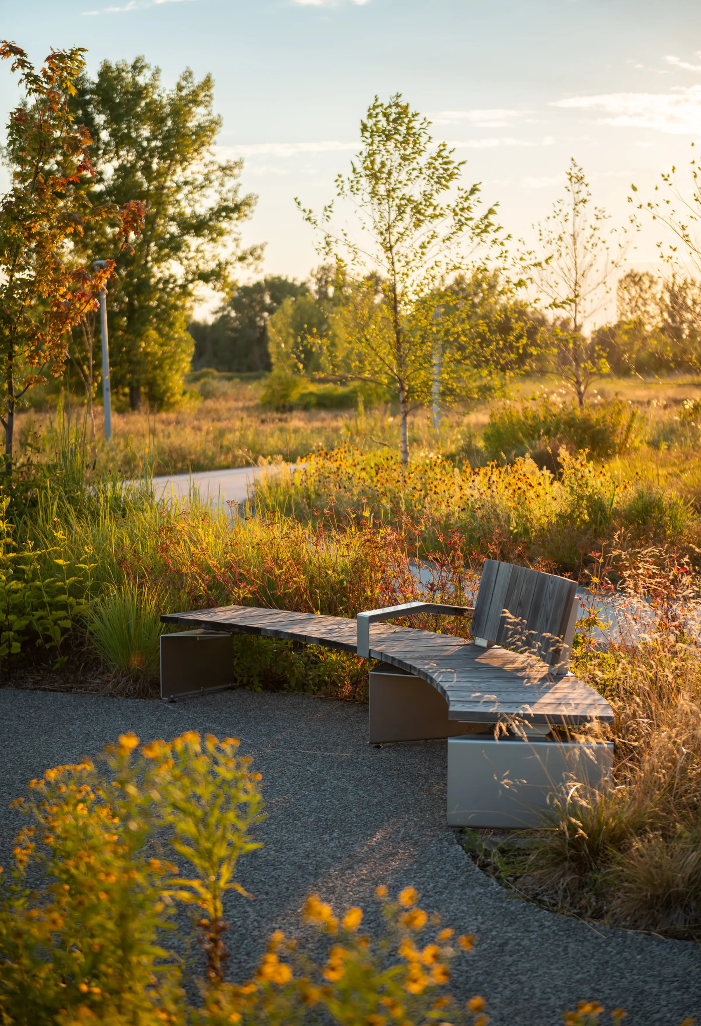 Bench nestled in vegetation