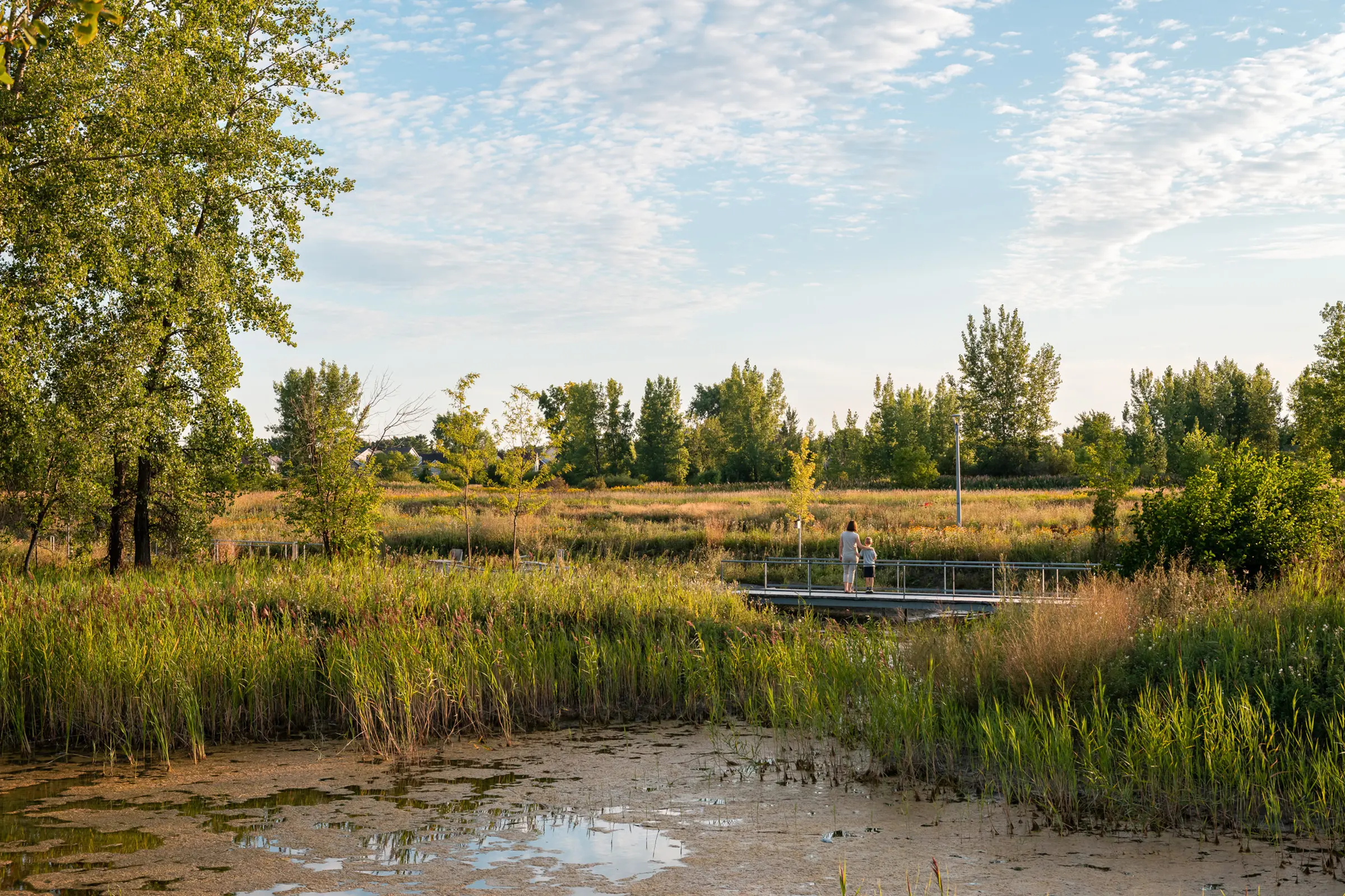 Vue sur les bassins de rétention