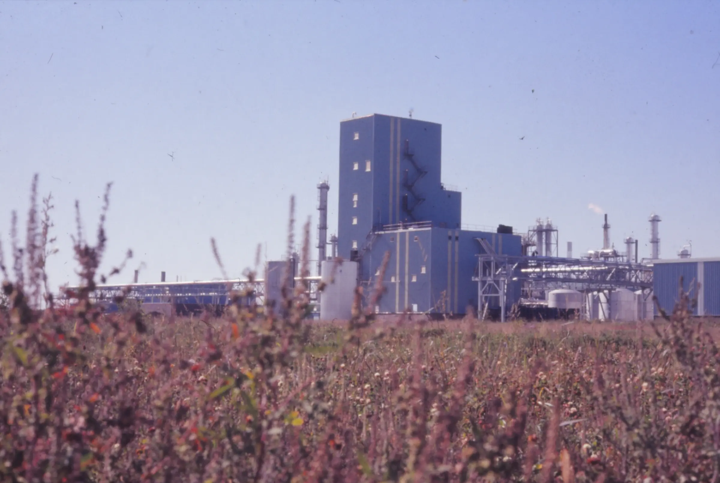 Photo d'archive de l'usine BASF