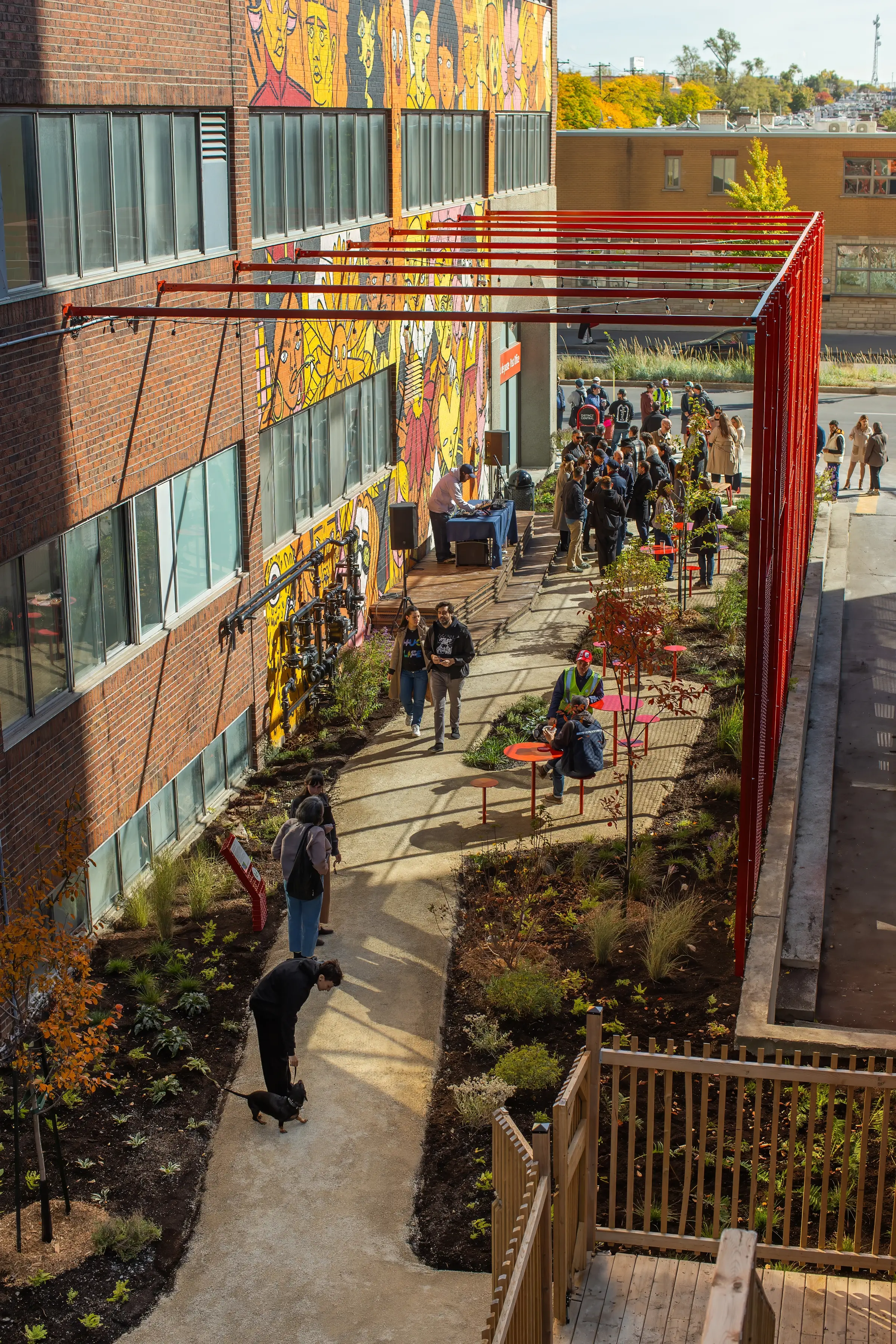 Vue aérienne de la Ruelle L'Oasis