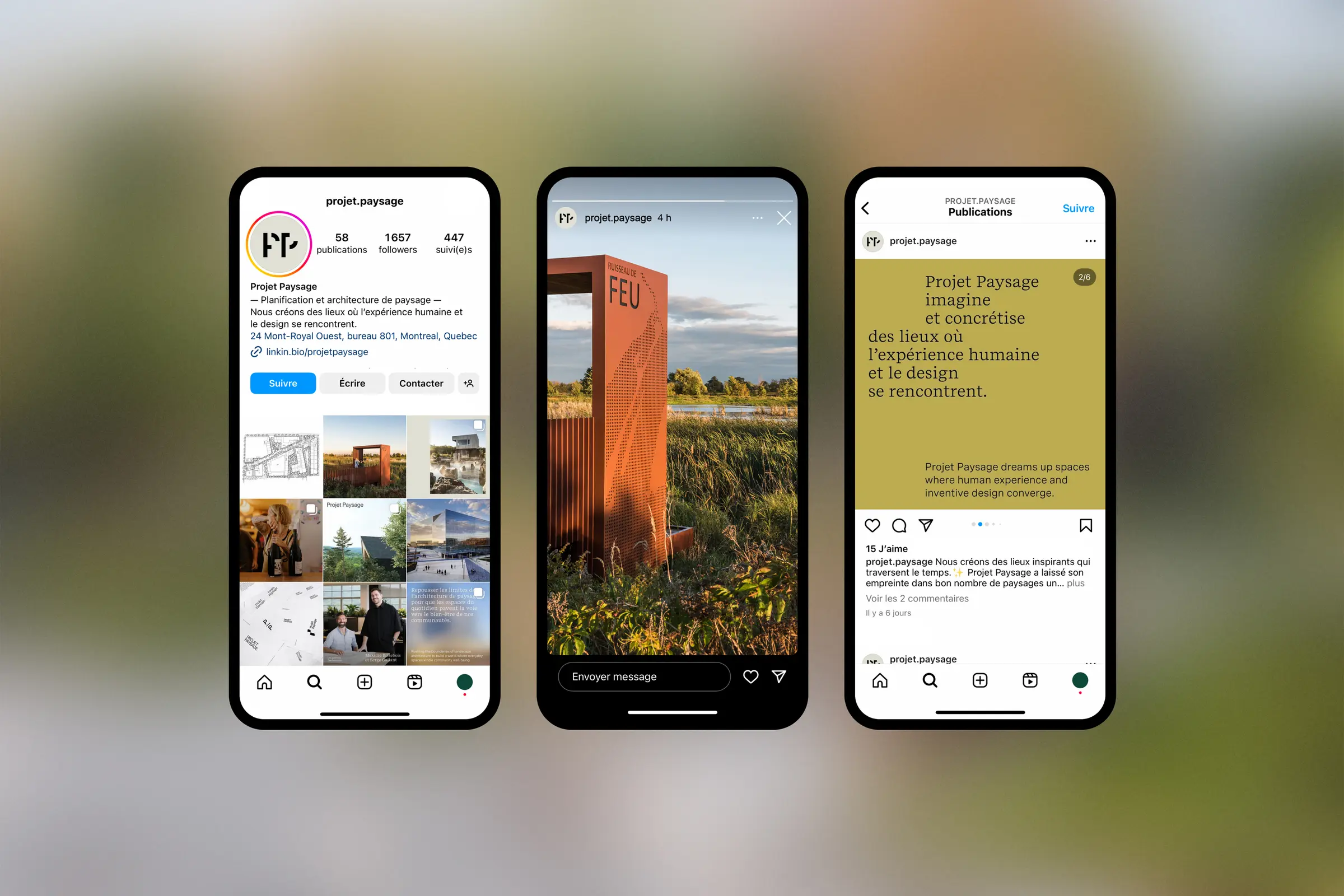 Projet Paysage mobile assets