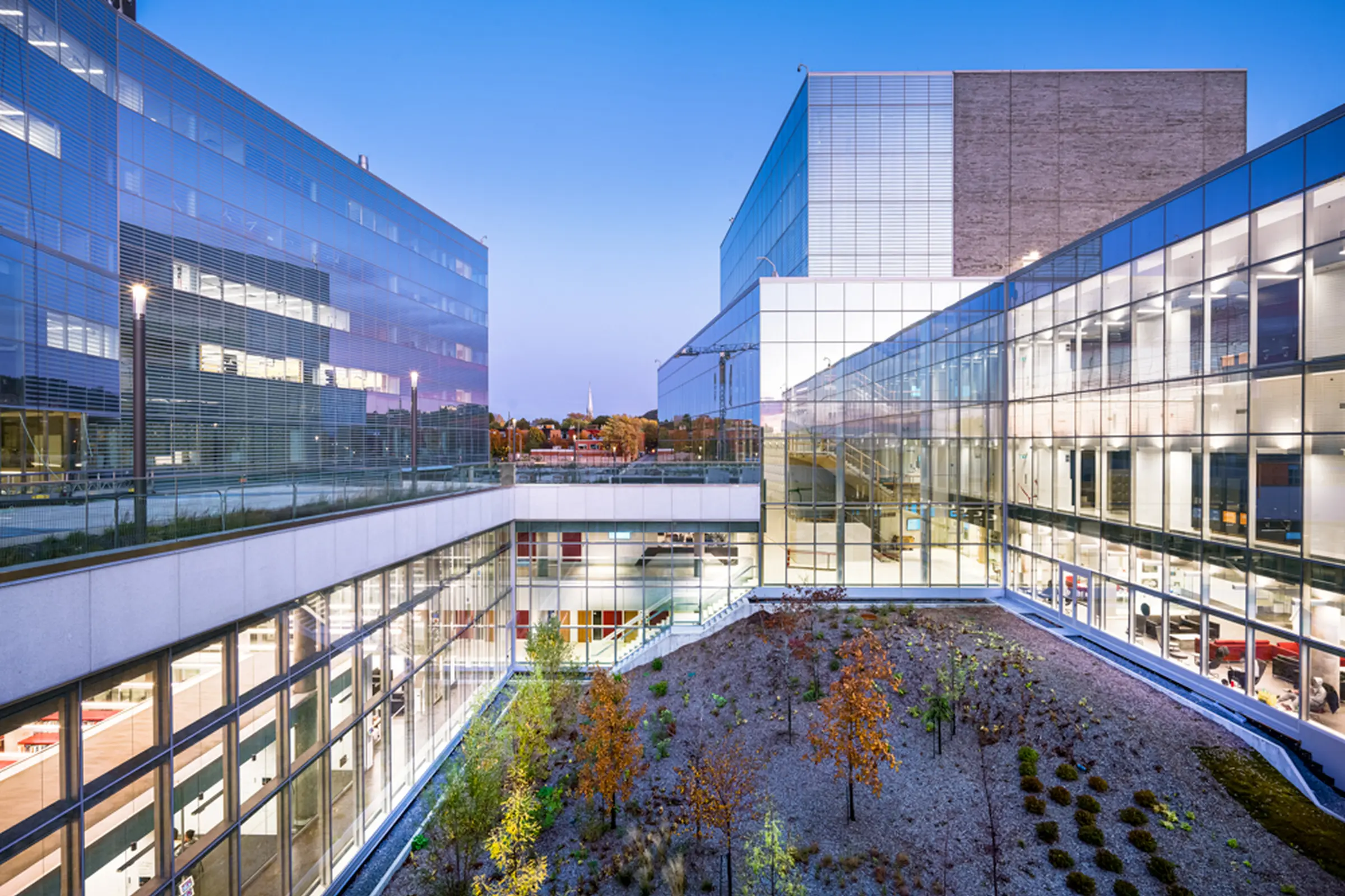 Bibliothèque et vue sur les cours intérieures aux allures de forêt