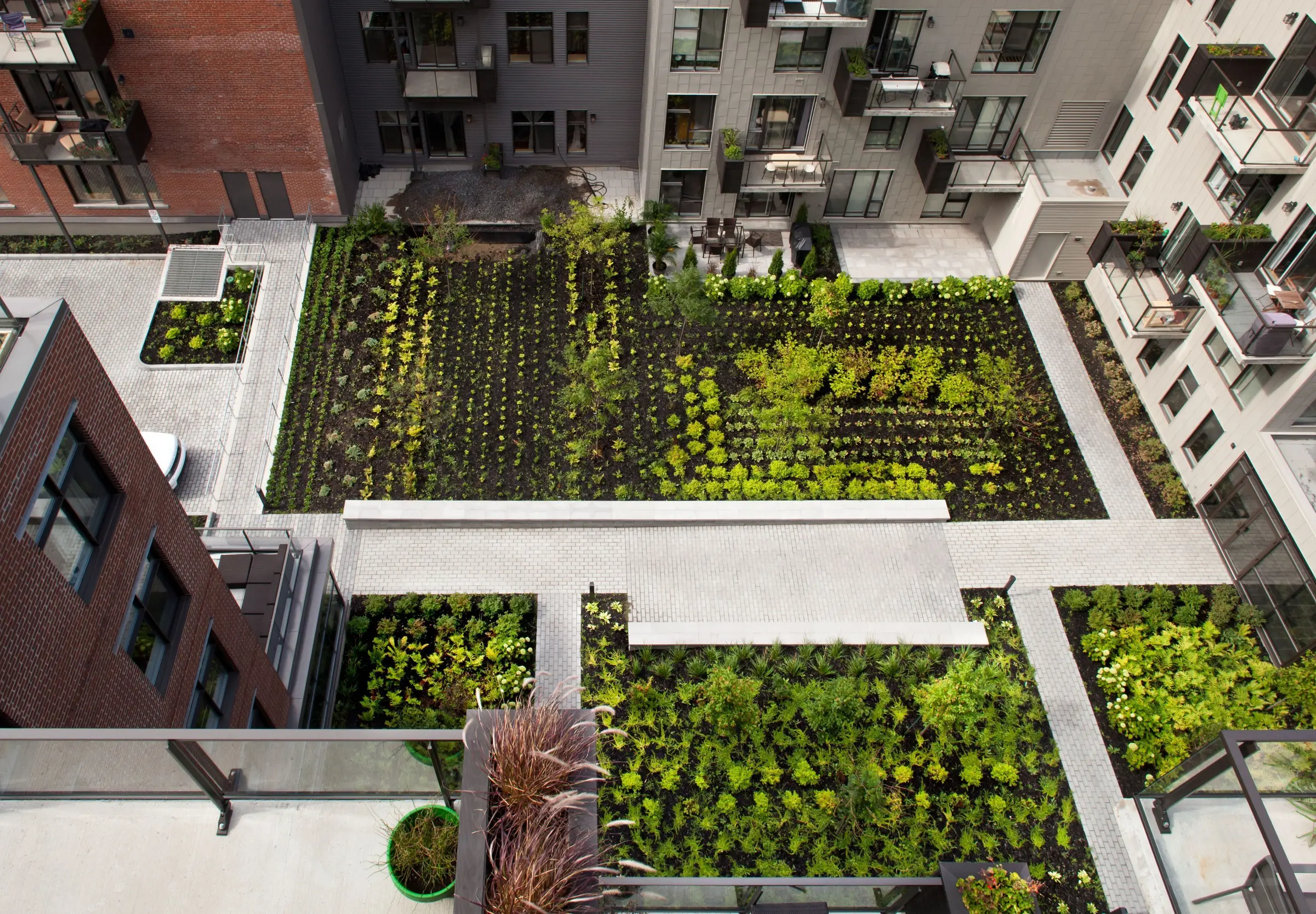 Vue aérienne de la cour intérieure au complexe le William