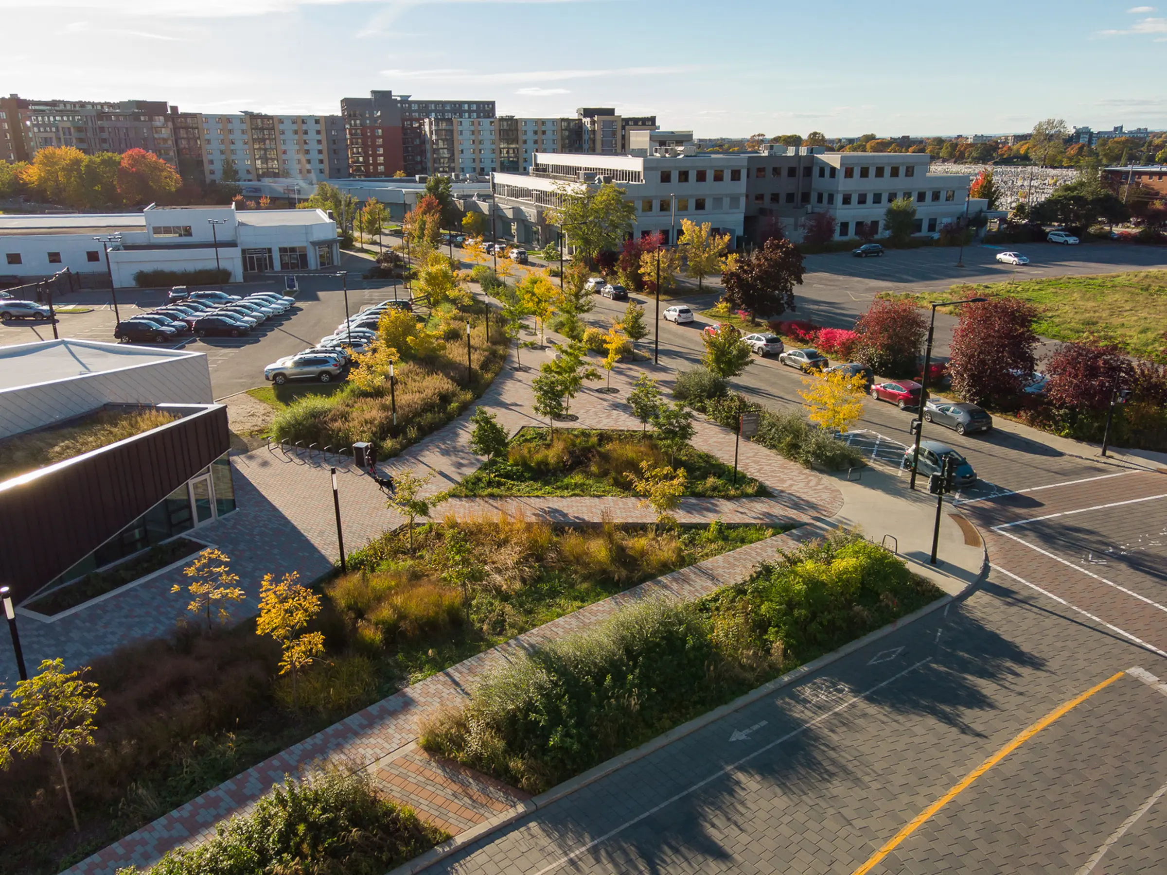 Espaces verts parc Saidye-Bronfman