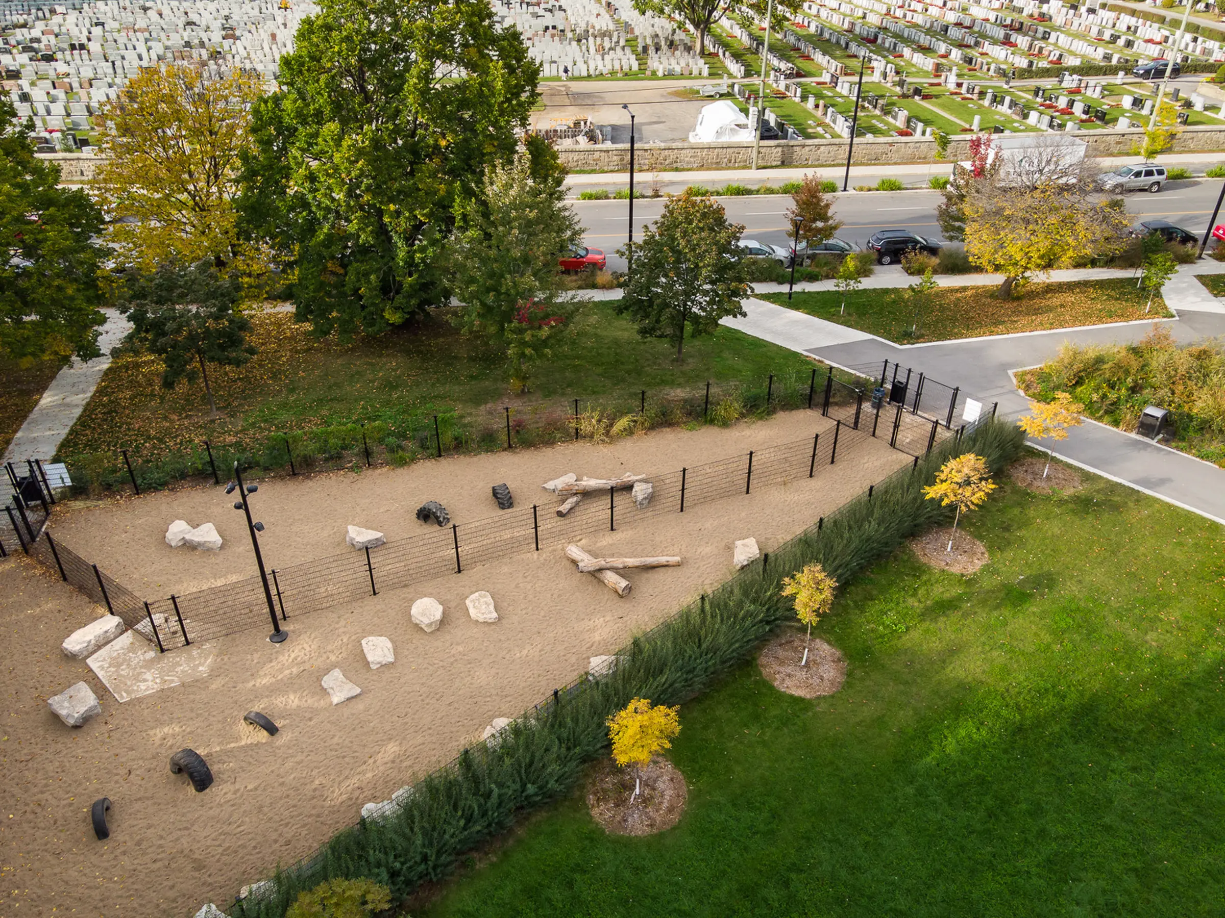Espace et jeux pour les chiens au parc de la Savane