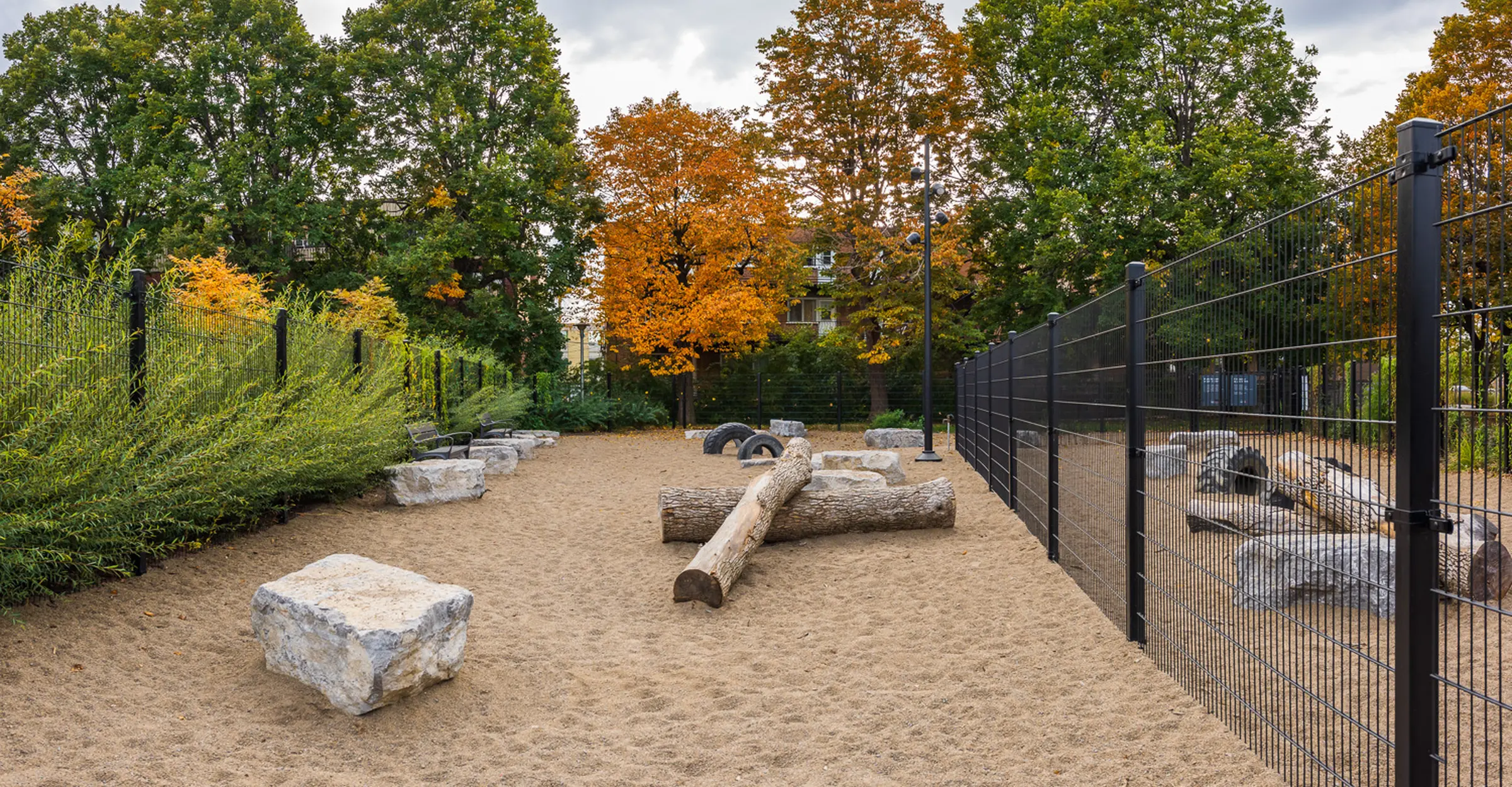 Jeux pour chiens en matériaux naturels au parc de la Savane