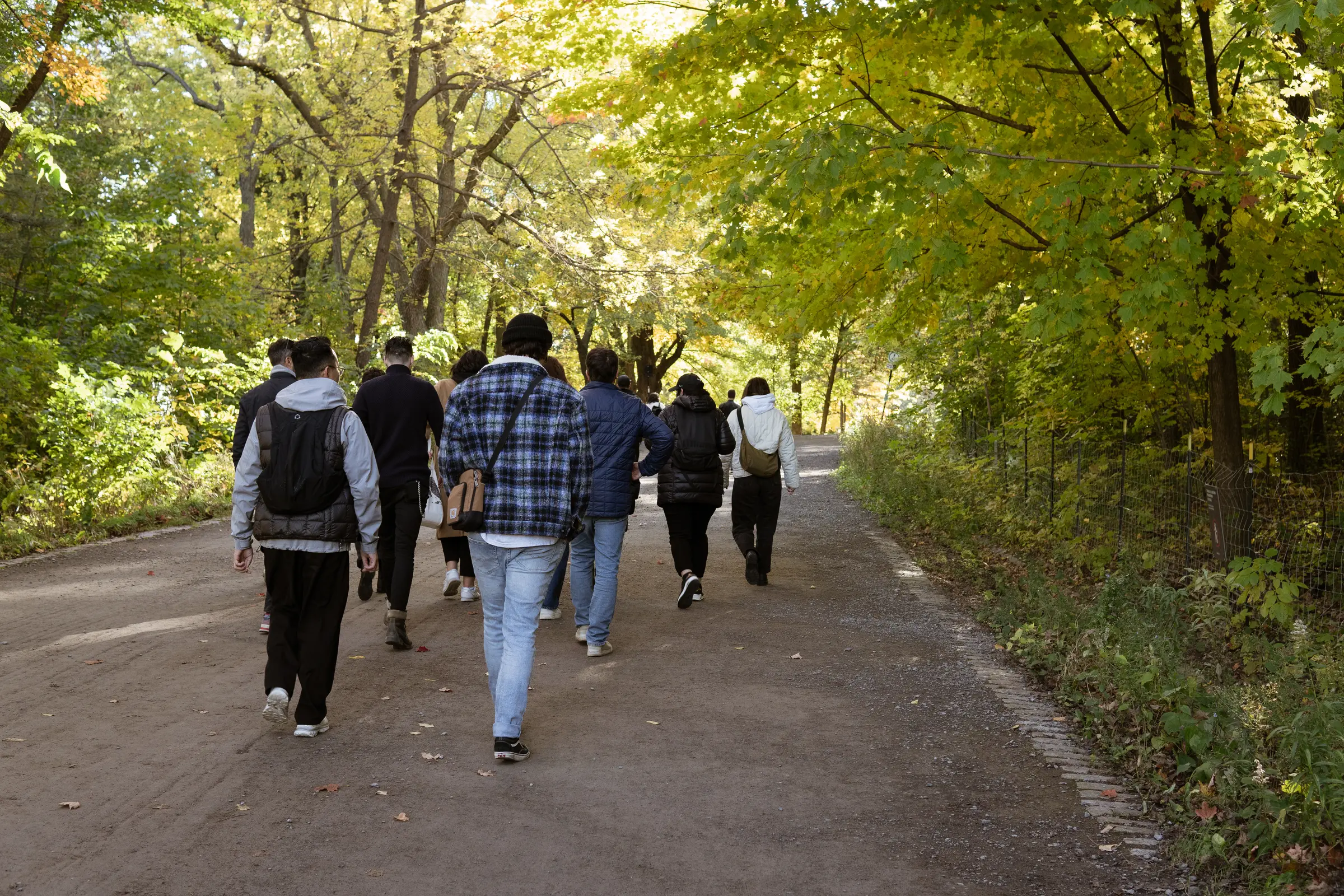Marche en équipe sur le Mont-Royal