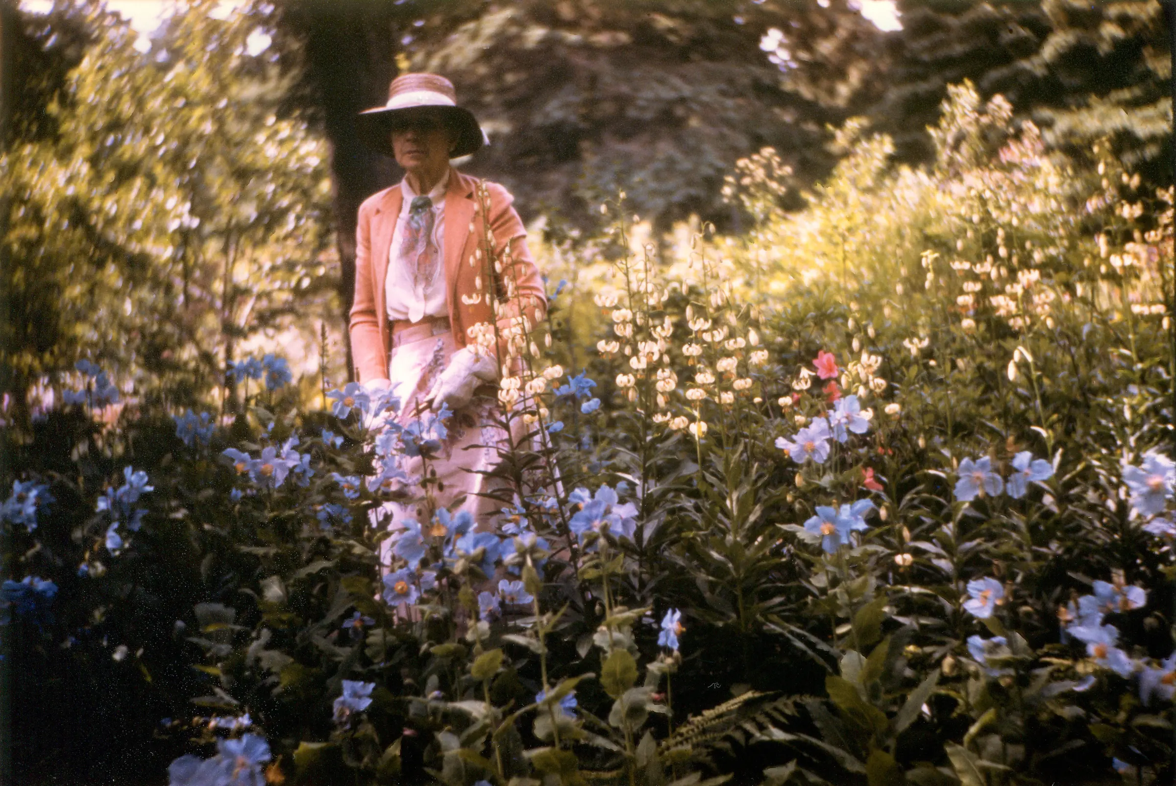 Elsie Reford posant dans le jardin des pavots bleus