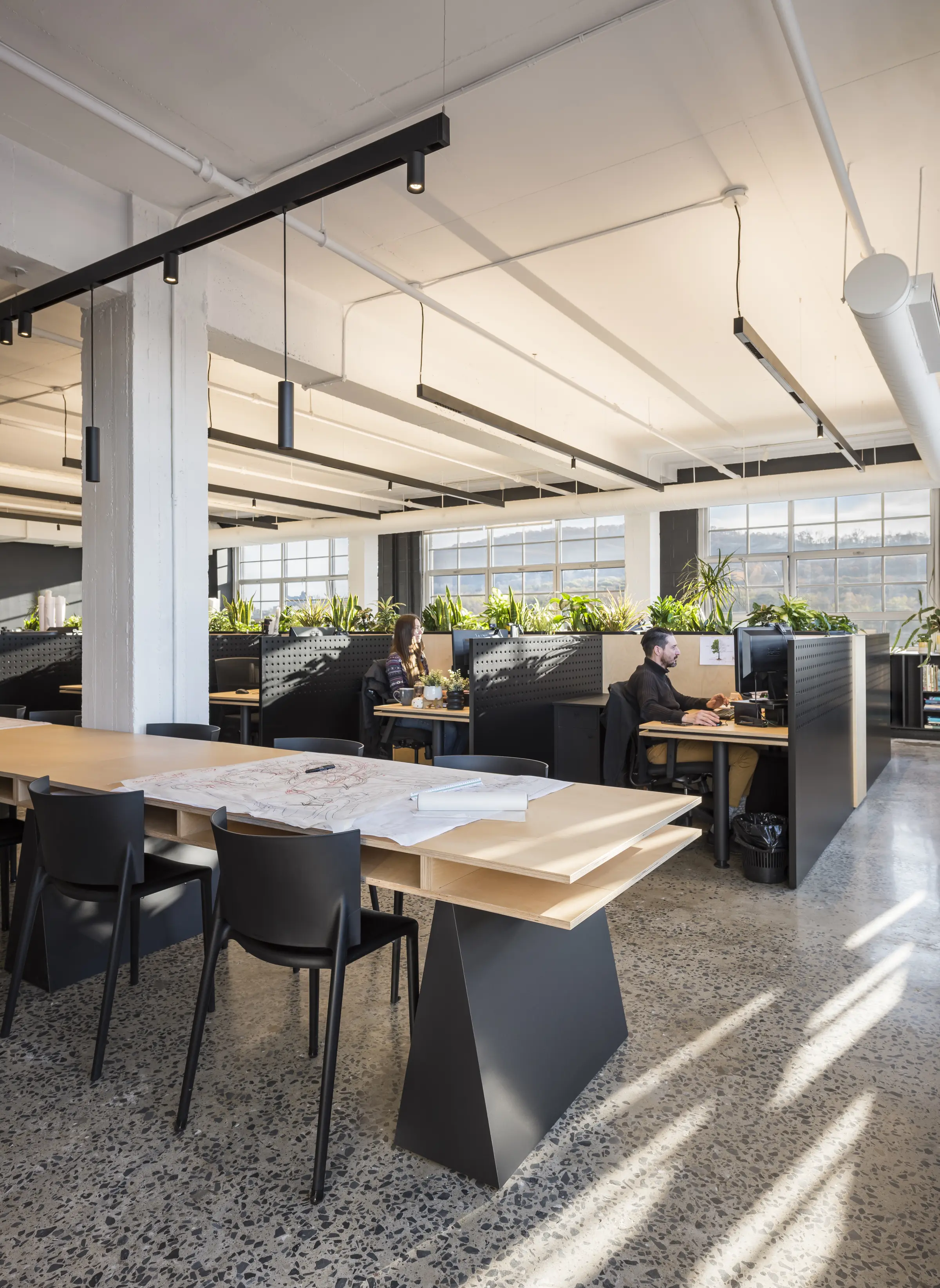 Natural light in the offices of Projet Paysage