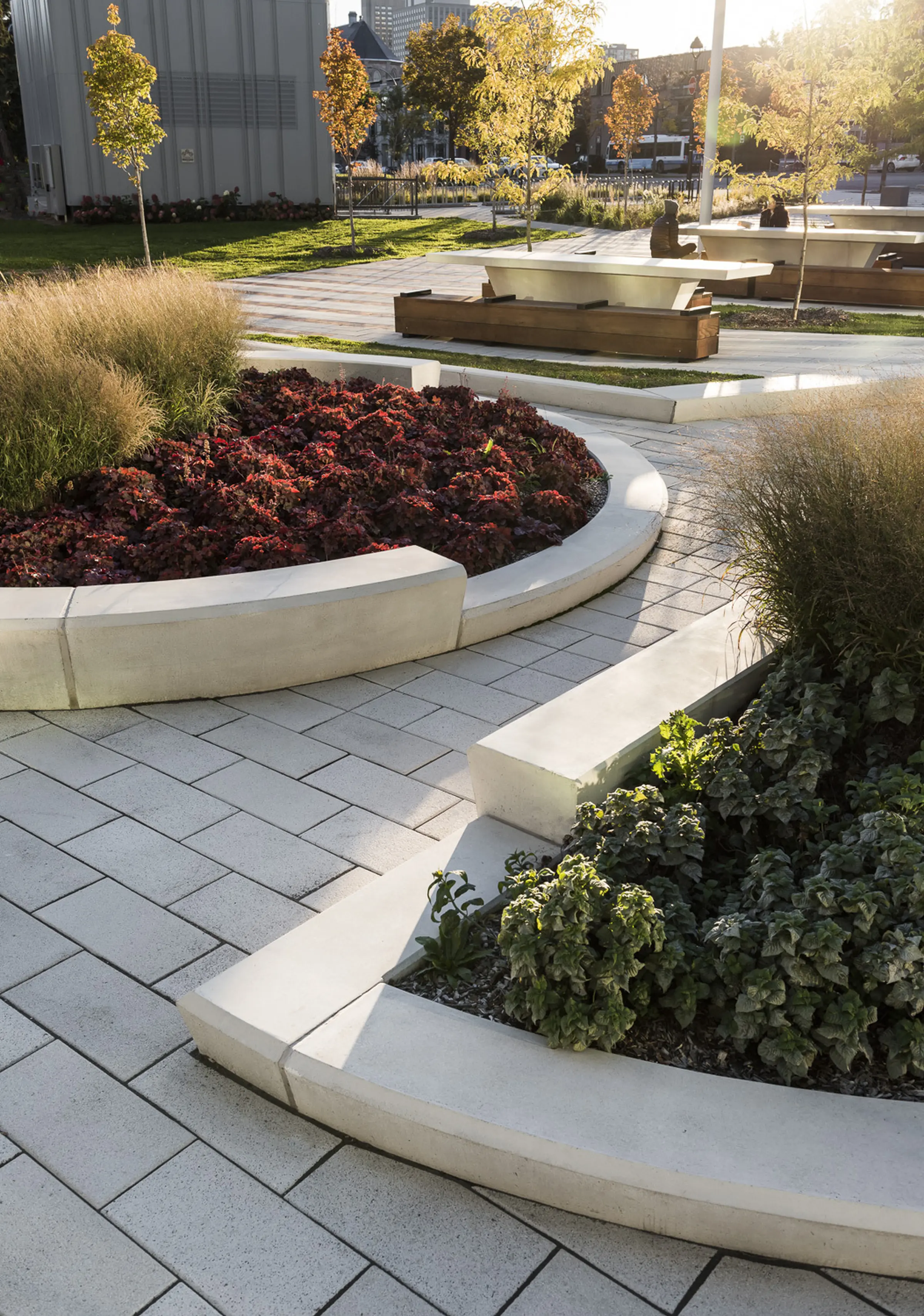 Flower beds and benches for sitting