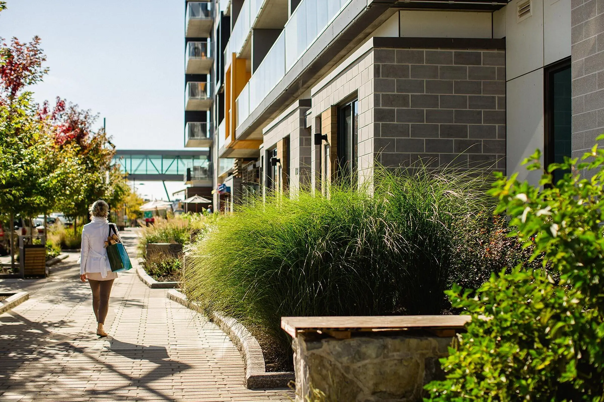 Pedestrian commercial lane
